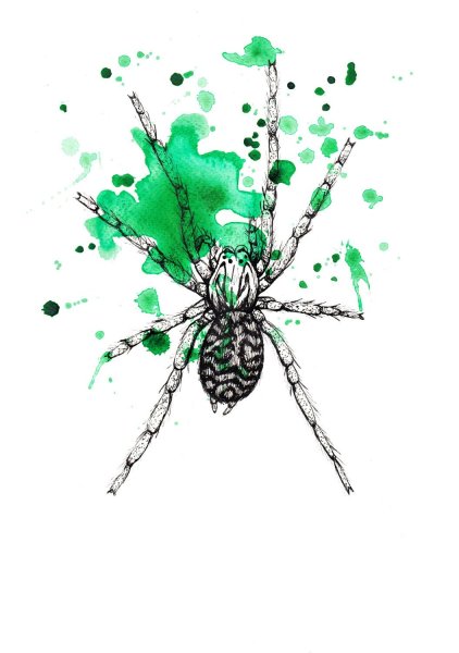 Паук акварелью