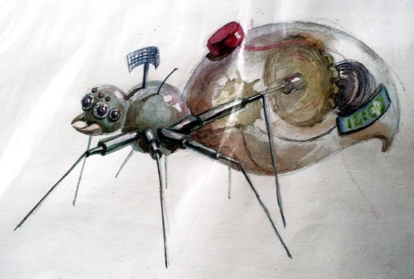 Паук акварелью