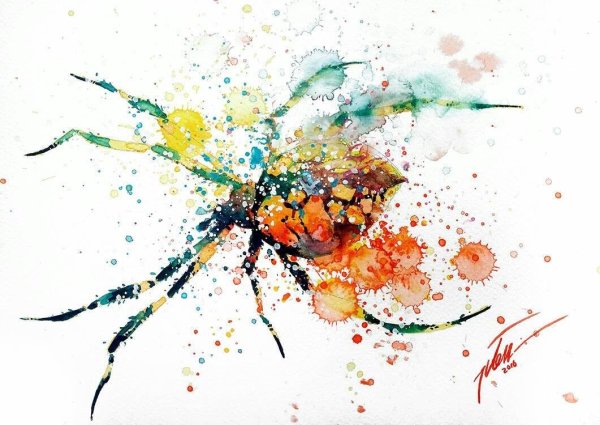 Тилен ти картины