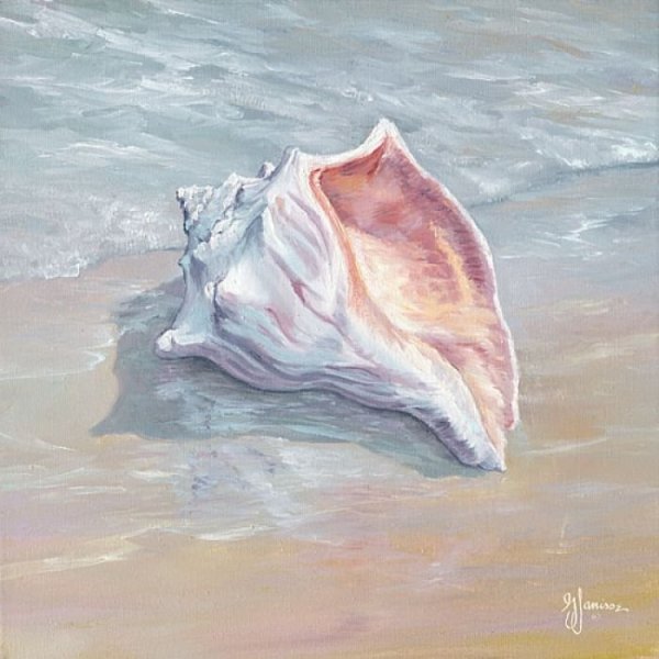 Морские раковины в живописи