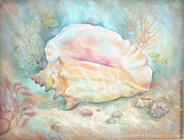Елизавета Мелкозерова художница морская раковина