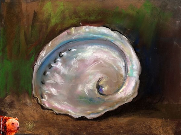 Морские раковины в живописи