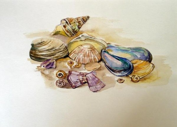 Жемчуг акварелью