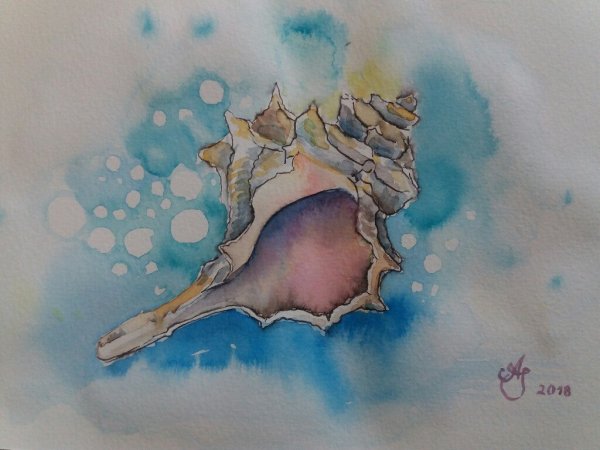 Акварельная краска из моллюсков