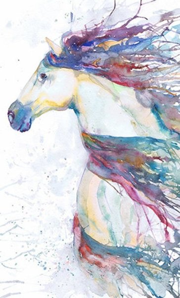 Алмазная мозаика Колибри