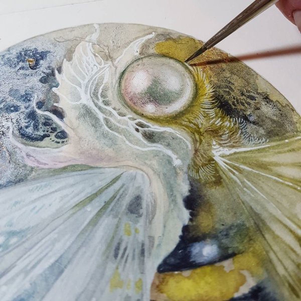 Ракушки в живописи