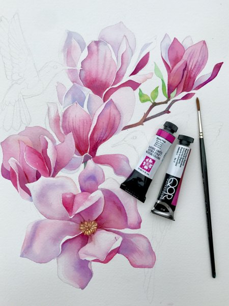 Ботаническая живопись акварелью Магнолия