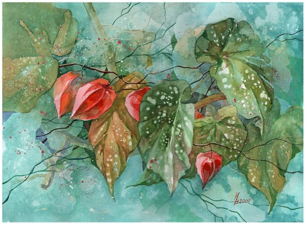 Физалис акварелью