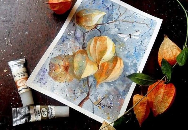 Анна Терещенкова физалис Аква