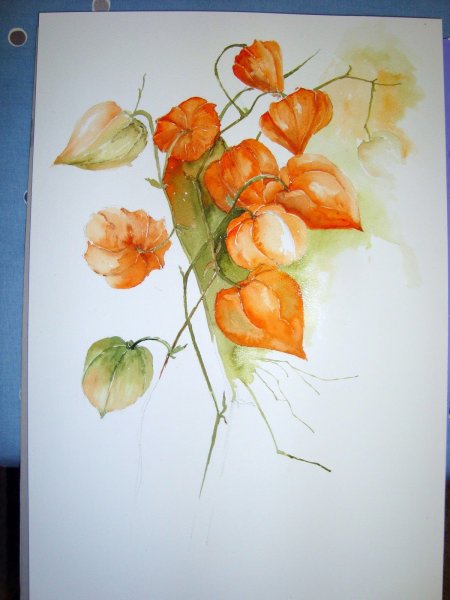 Marie Claire Moudru картины