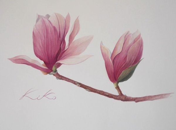 Перотти живопись Ботаническая