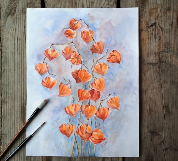 Физалис акварелью