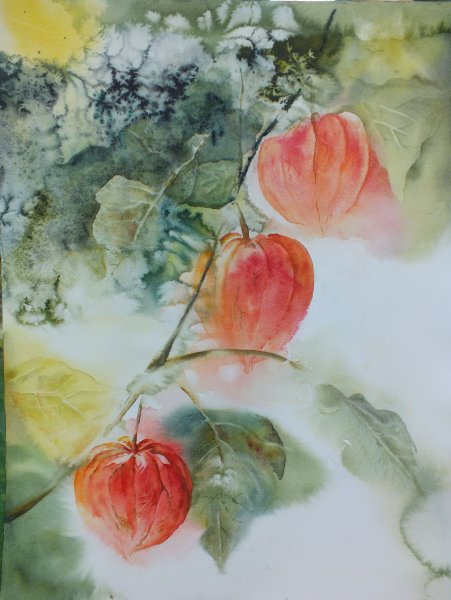 Китайская живопись физалис