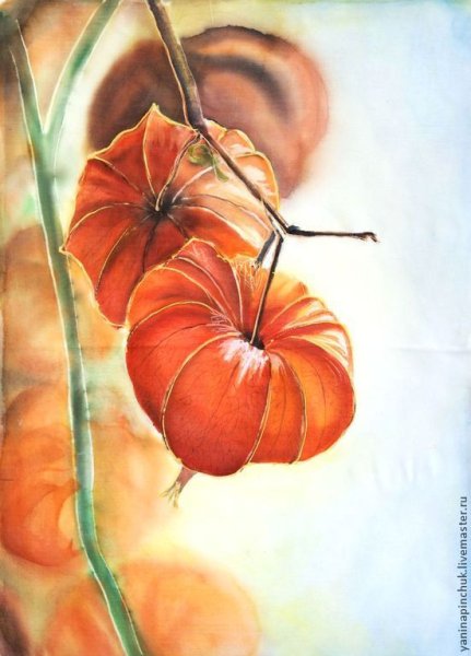 Физалис акварелью