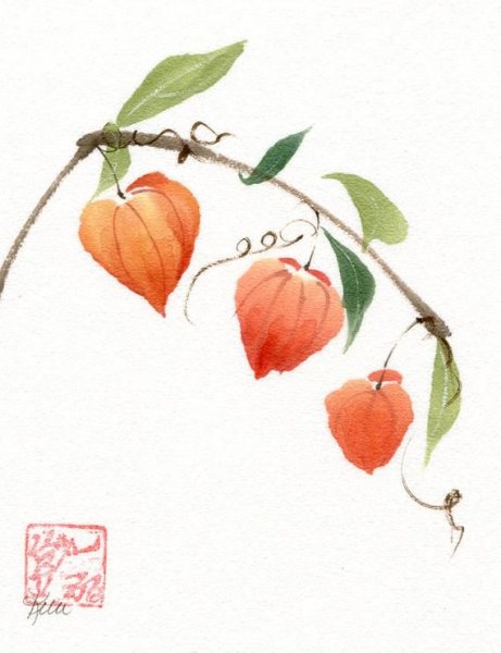 Ивон Харри художник акварелист