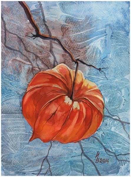 Физалис Инна Петрашкевич