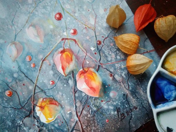 Этюд физалиса