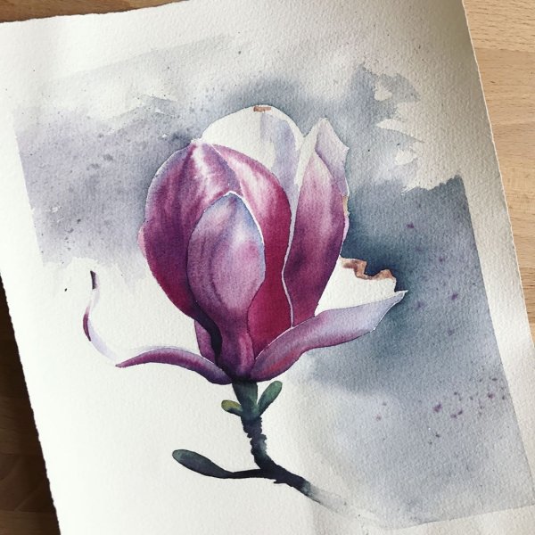 Прозрачная акварель Магнолия