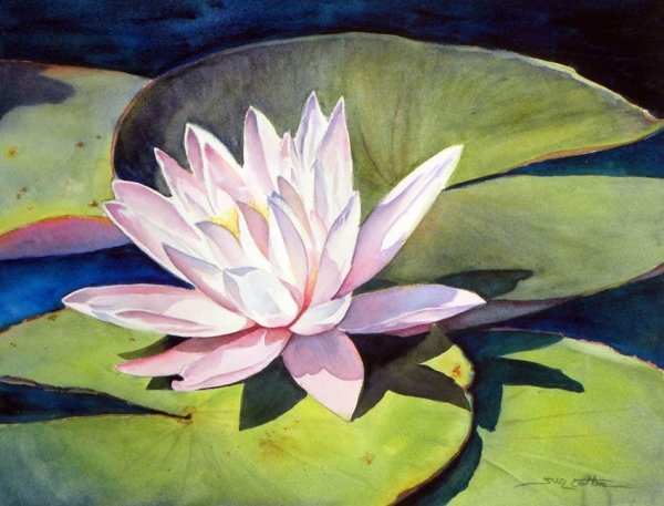 Ольга Новицкая кувшинки акварель