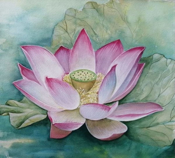 Цветы акварелью для начинающих