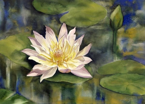 Кувшинка Лотос акварель