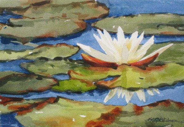 Кувшинка Лотос акварель