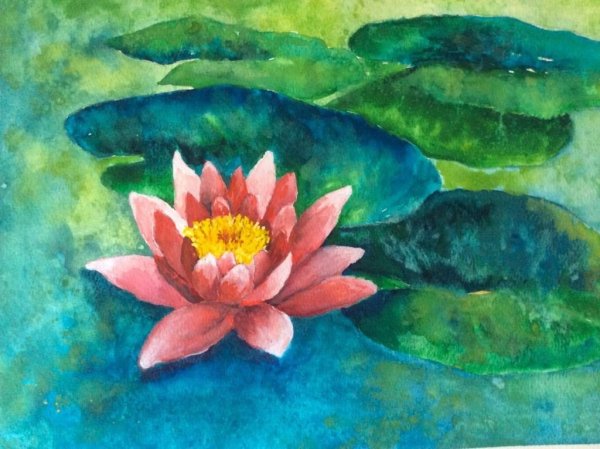 Кувшинка рисунок