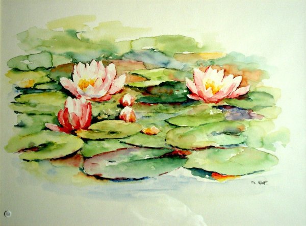 Кувшинка белая