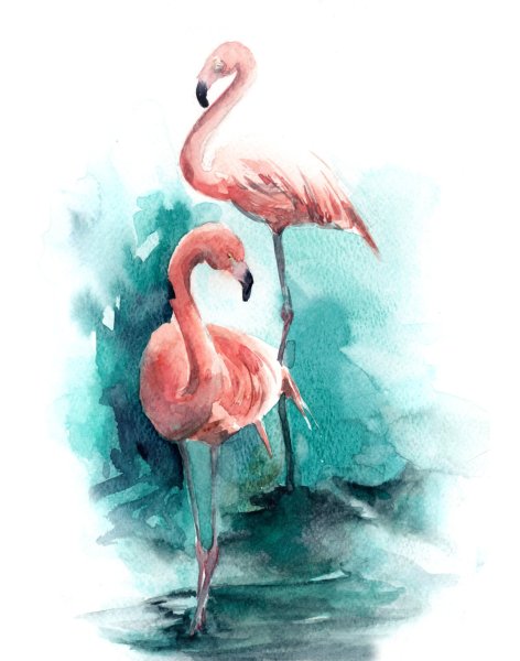 Flamingo Aquarelle
