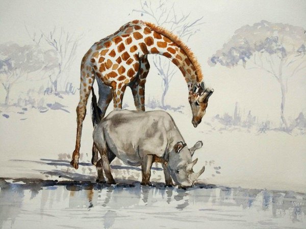 Африка акварель