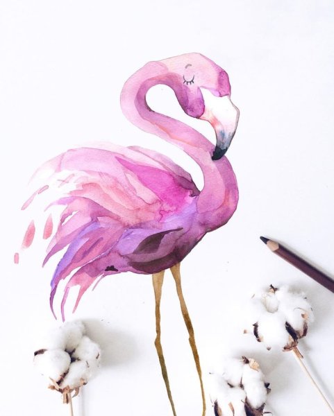 Фламинго акварелью