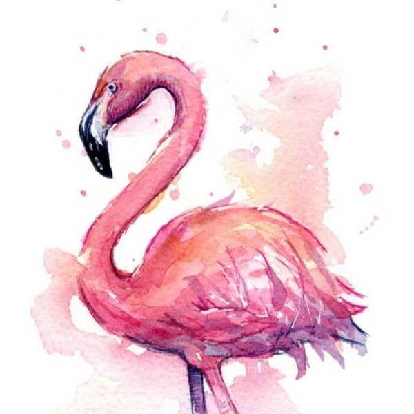 Фламинго красками