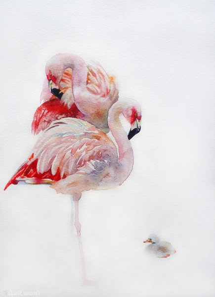 Фламинго красками акварелью