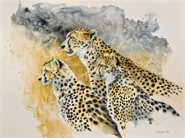 Karen Laurence-Rowe . Акварель