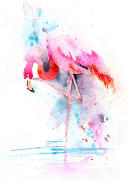 Фламинго акварелью