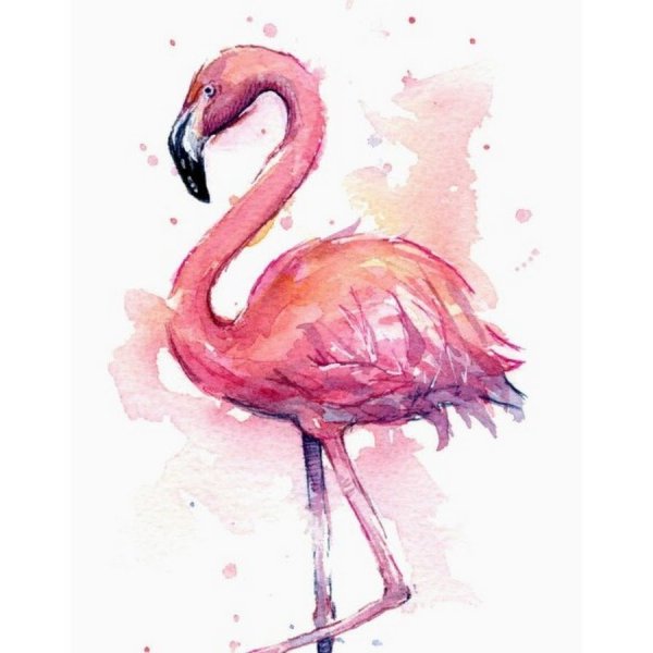 Фламинго акварель вектор