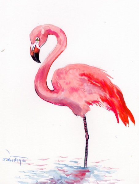 Фламинго скетч маркерами