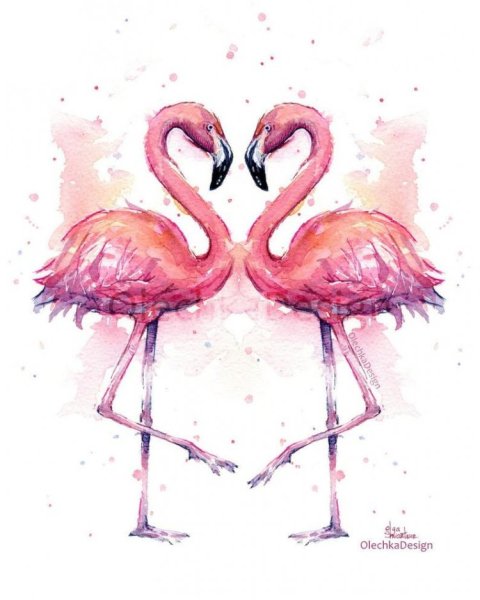 Розовый Фламинго акварель