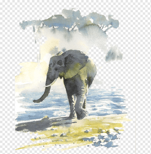 Hazel soan картины