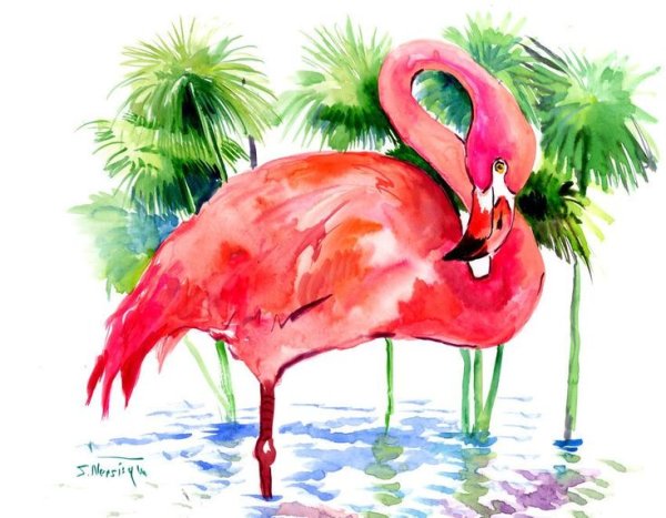 Фламинго акварелью