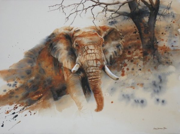 Karen Laurence-Rowe . Акварель