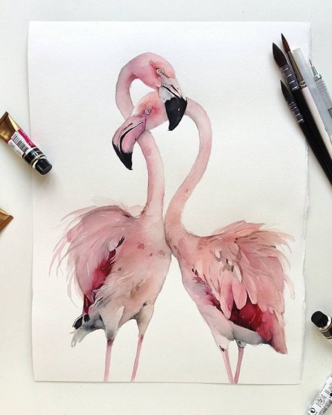 Картина розовый Фламинго живопись