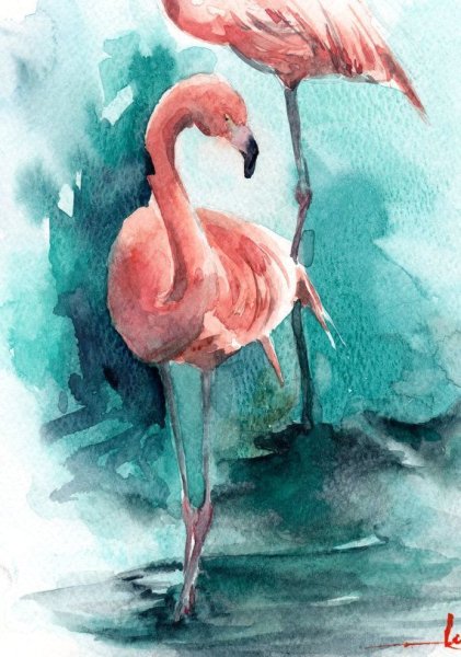 Скетчинг Фламинго