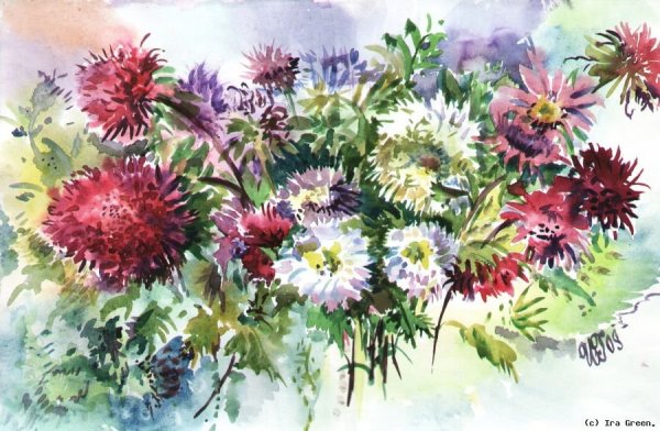 Олег Тимошин георгины