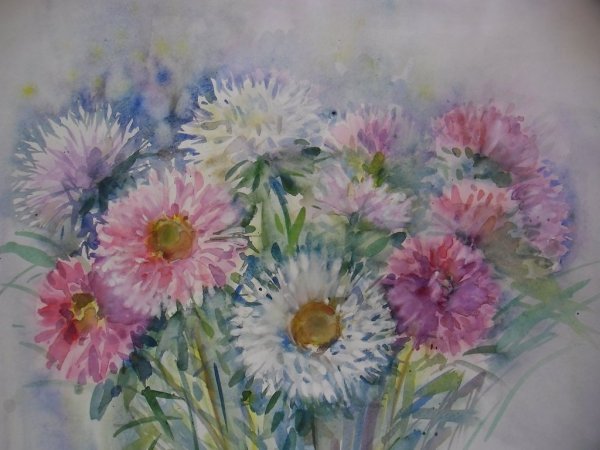 Астры акварелистов