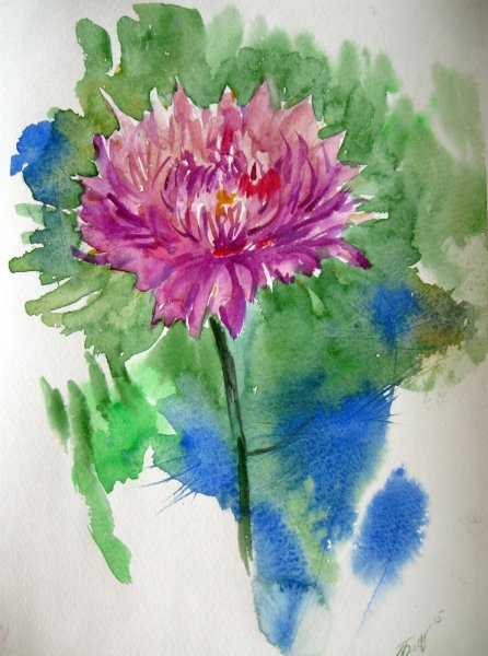 Астры акварелью