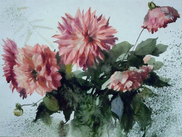 Георгины акварелистов