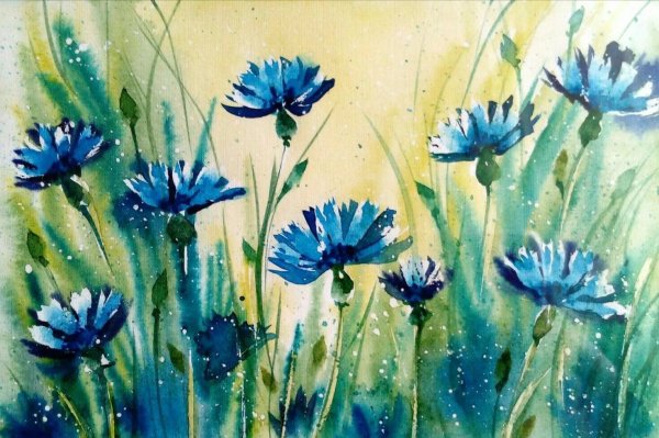 Васильки гуашью