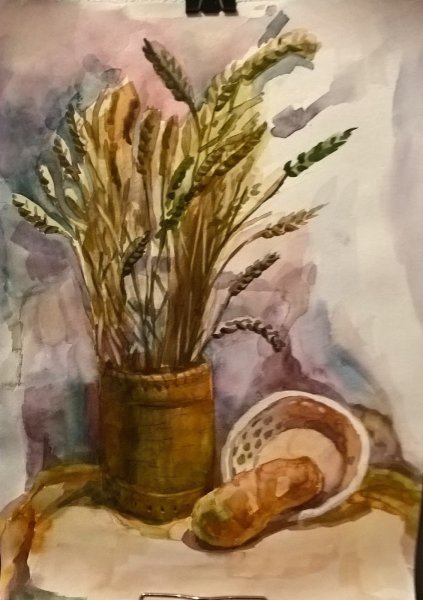 Колоски рисунок акварель