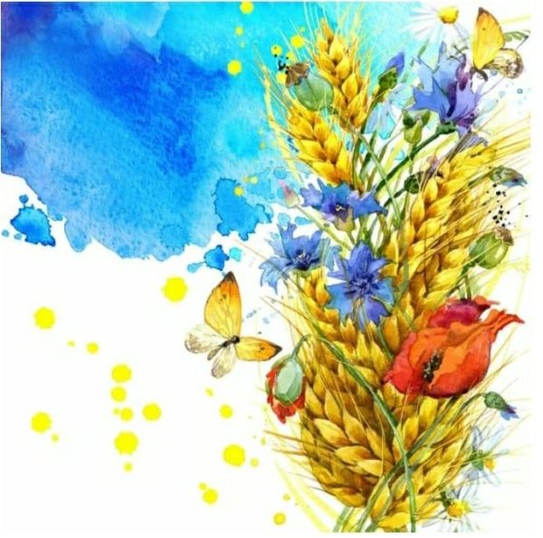 Пампасская трава акварелью